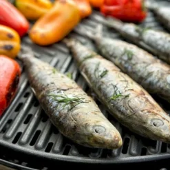 CADAC Grillo Chef 40 Gasbarbecue - BBQ/Chef Pan -Uitrusting Voor Buiten Verkoop 2024 900 1348 grillo chef 40 bbq grid