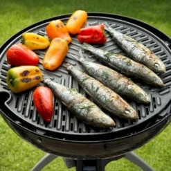 CADAC Grillo Chef 40 Gasbarbecue - BBQ/Chef Pan -Uitrusting Voor Buiten Verkoop 2024 900 1348 grillo chef 40 bbq grid 2