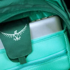 Osprey Farpoint Backpack - 40 Liter - Donkergroen -Uitrusting Voor Buiten Verkoop 2024 osprey farpointfairview features 7 2