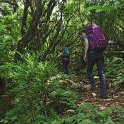 Osprey Renn Backpack - 50 Liter - Paars -Uitrusting Voor Buiten Verkoop 2024 osprey rennrook 3 4