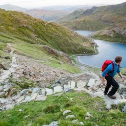 Osprey Syncro Daypack - 20 Liter - Zwart 24 Osprey Syncro Daypack - 20 Liter - Zwart -Uitrusting Voor Buiten Verkoop 2024 osprey syncro 2 2